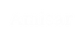 Amisar White Logo